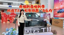 奇瑞新春焕新季 风云T11七年低息“0压力”