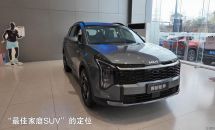 全球销量超800万！获国际安全大奖！新狮铂拓界实力究竟如何？