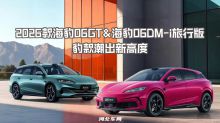 2026款海豹06GT&海豹06DM-i旅行版 豹款潮出新高度