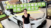 金标大众智能纯电新势力 总有一款适合你
