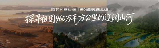 【新闻稿】首搭AI超级智能体迪迪虾，腾势N8L纯电上市29.98万元起(3)(1