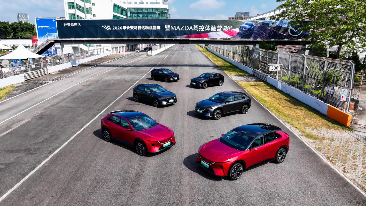 图片13.jpg
